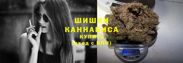 гидра Медногорск