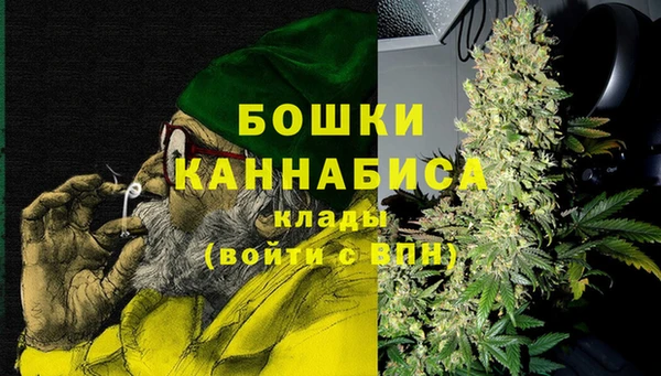 гидра Медногорск