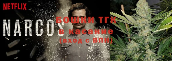 гидра Медногорск