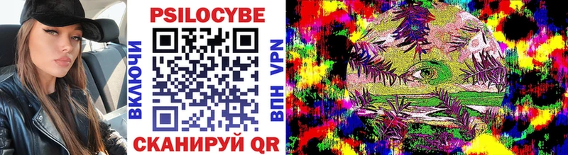 Галлюциногенные грибы Psilocybe  Черноголовка 